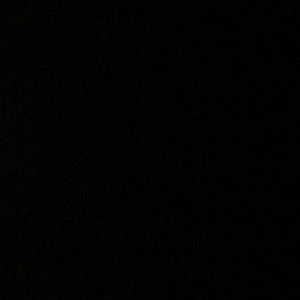 Meet your Posher, Shania